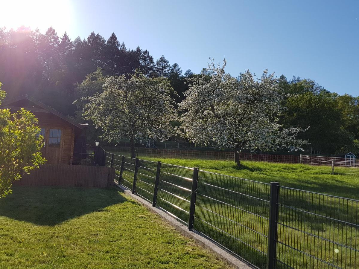 Ferienwohnung Tinas Beauty Neckarsteinach Εξωτερικό φωτογραφία