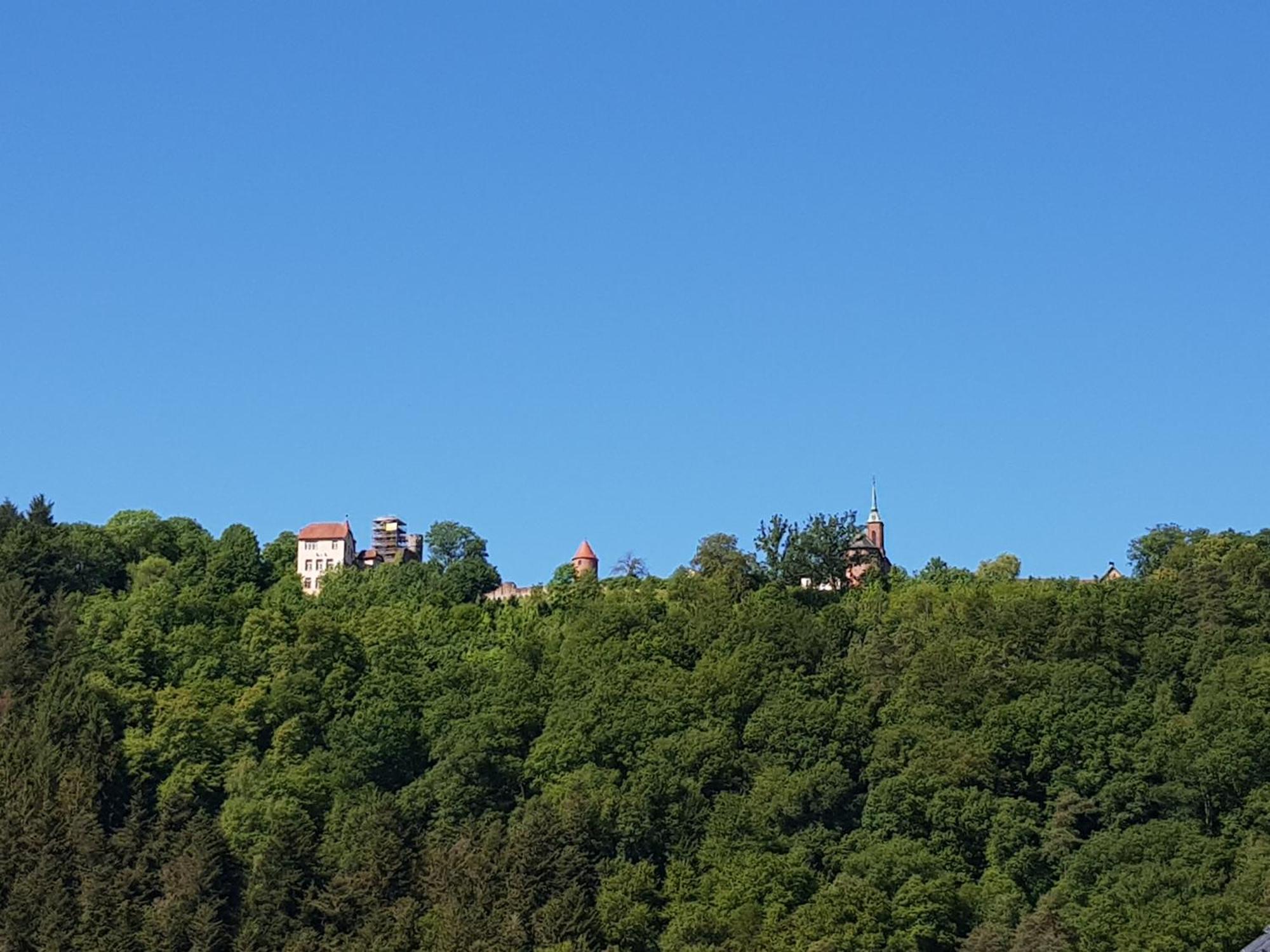 Ferienwohnung Tinas Beauty Neckarsteinach Εξωτερικό φωτογραφία