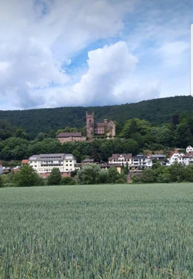 Ferienwohnung Tinas Beauty Neckarsteinach Εξωτερικό φωτογραφία