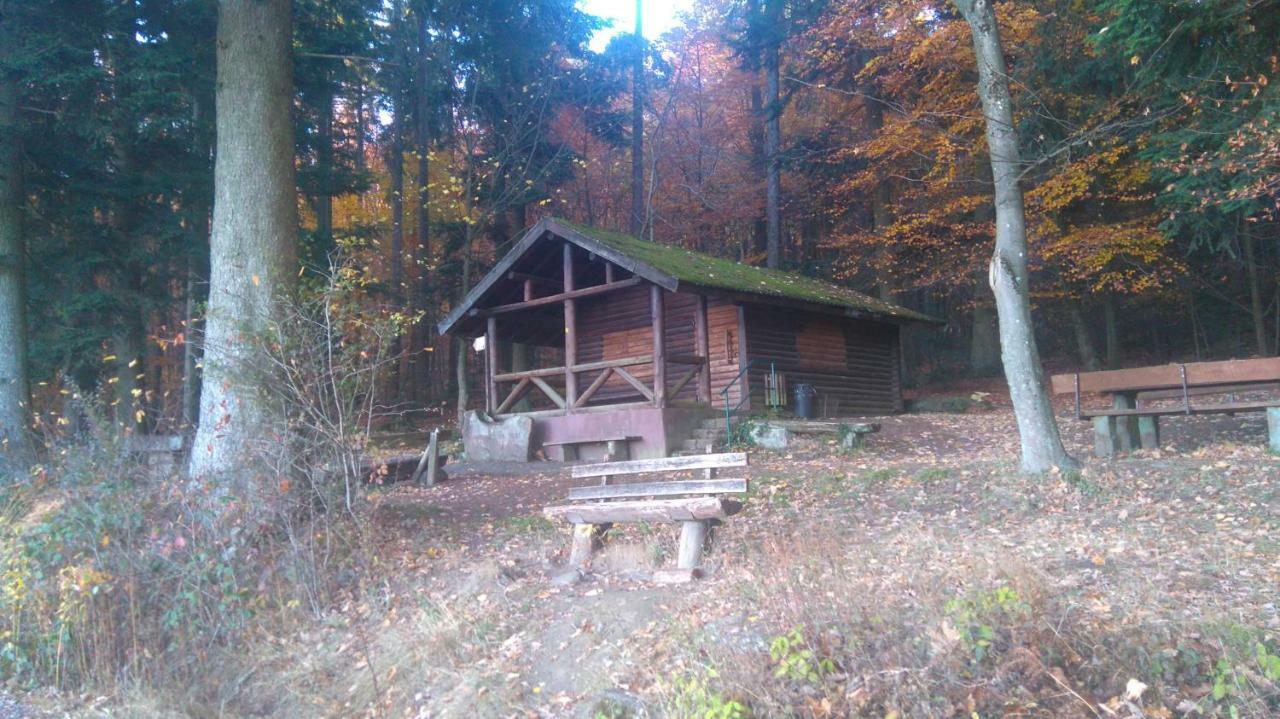 Ferienwohnung Tinas Beauty Neckarsteinach Εξωτερικό φωτογραφία