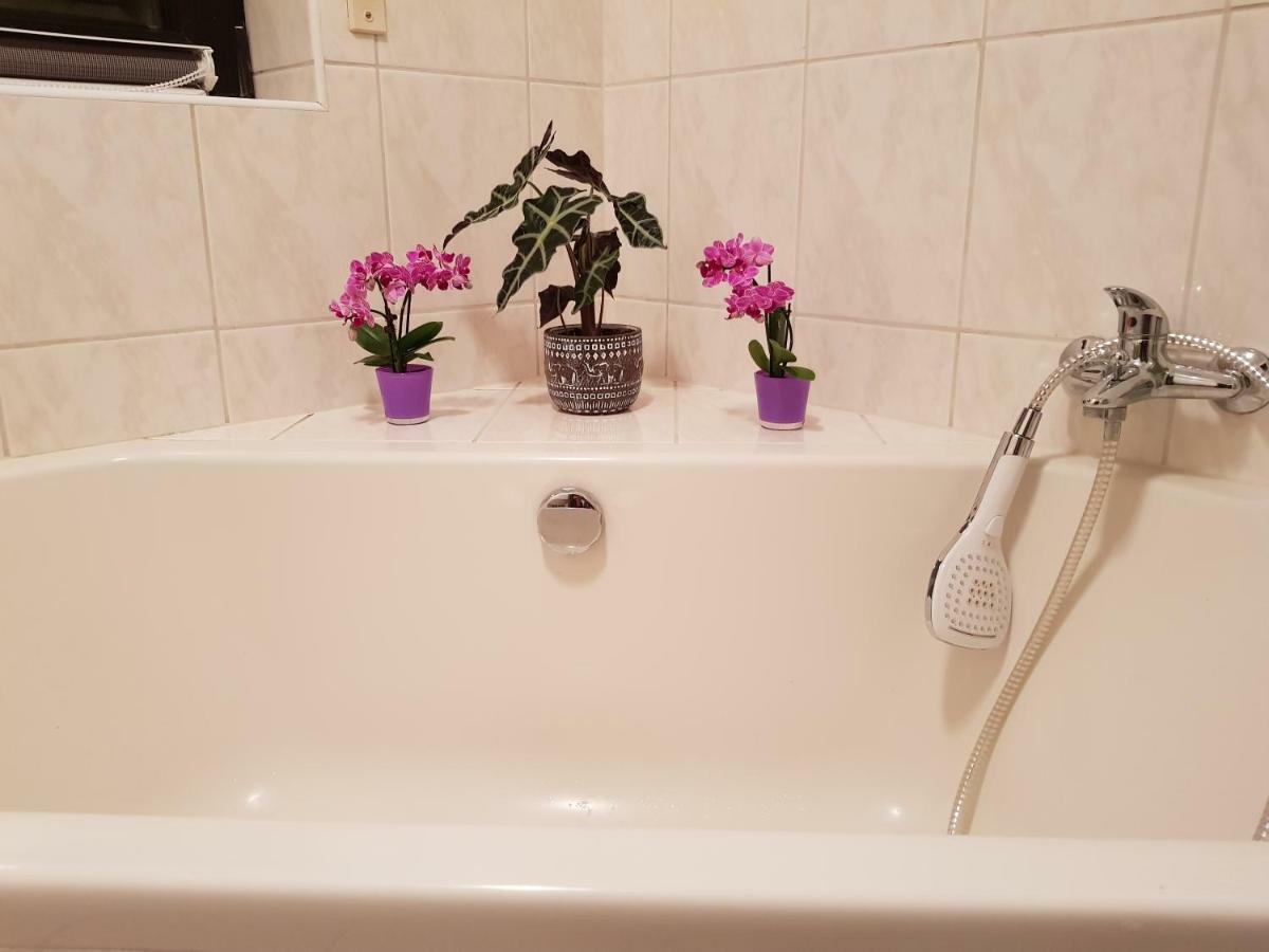 Ferienwohnung Tinas Beauty Neckarsteinach Εξωτερικό φωτογραφία