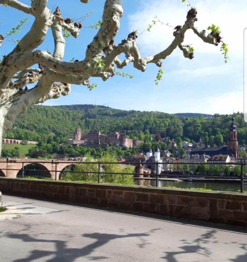 Ferienwohnung Tinas Beauty Neckarsteinach Εξωτερικό φωτογραφία