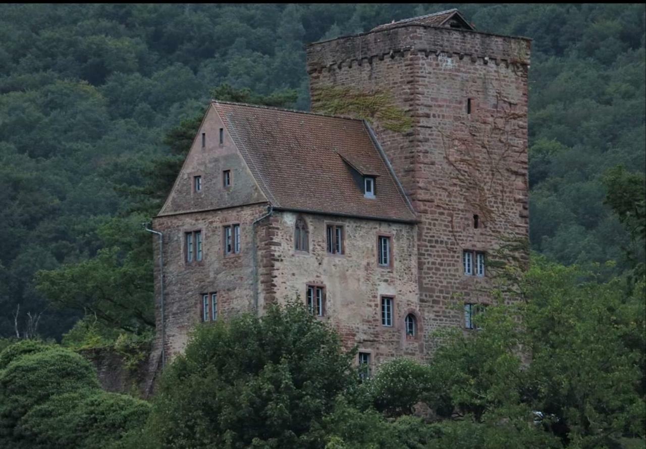 Ferienwohnung Tinas Beauty Neckarsteinach Εξωτερικό φωτογραφία